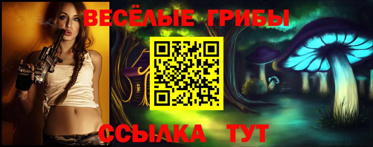 Псилоцибиновые грибы Cubensis  Галлюциногенные грибы ЛСД  Вход с VPN  Новоалтайск 